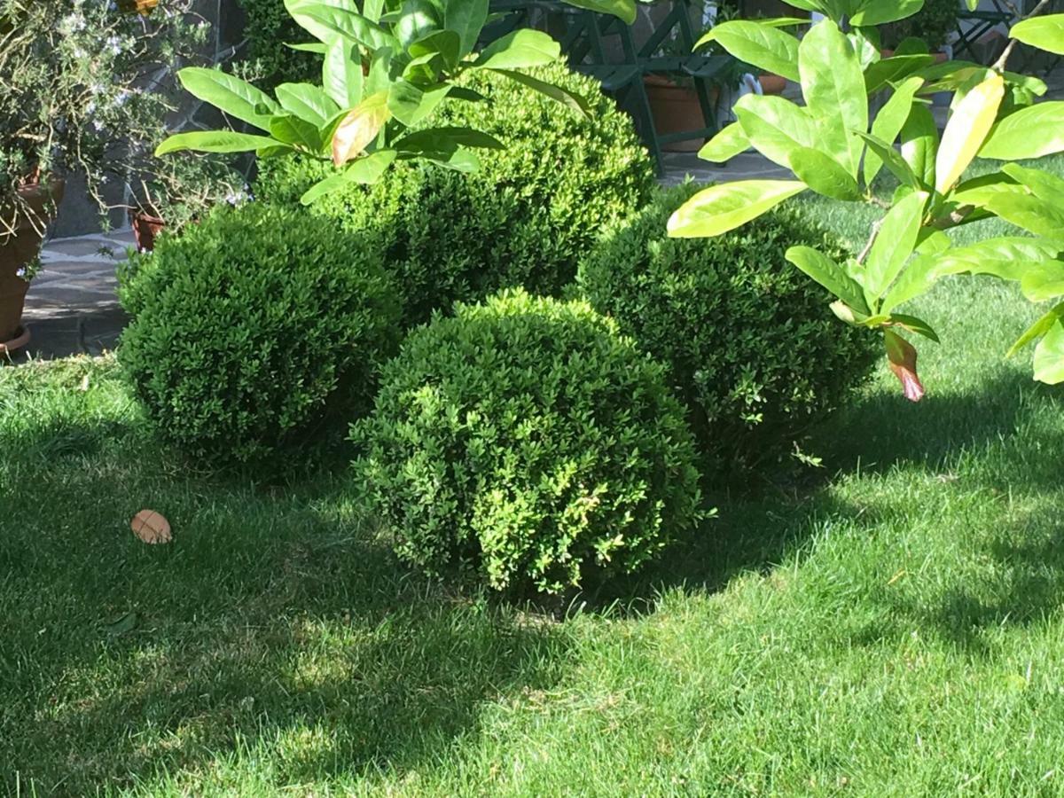 House&Garden Daire San Donato Milanese Dış mekan fotoğraf